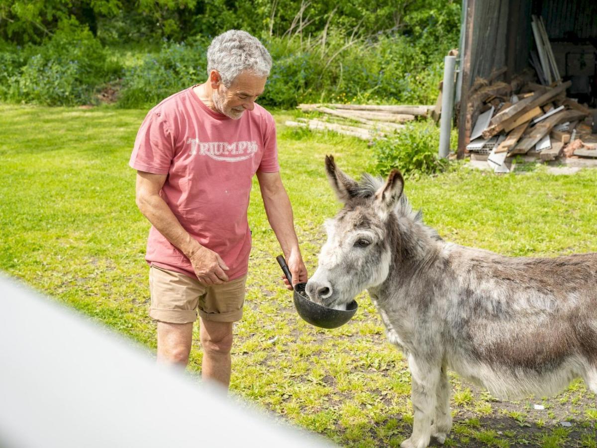 Pass The Keys The Lodge At Point House Farm - Sleeps Up To 6 切斯特 外观 照片